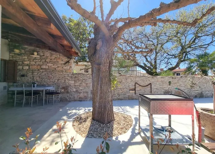 Casa Mora